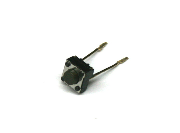 میکروسوئیچ ارگ Korg Pa80 اصلی